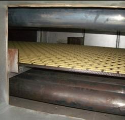 Heat Transfer Raidan tubes in an indirect radiant oven