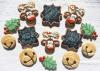 Biscuit PeopleJingle Bells Jungle Biscuits