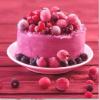 Biscuit PeopleBakery Trend Focus: Bright & Bold