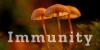 Biscuit PeopleBoost Your Immunity With Tremendous Mushroom Cookies