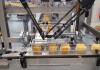 Equipment Automatic Packaging Line for Crackers on Edge produced by IMA FLX HUB