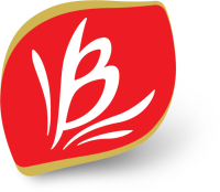 Bauducco Biscuit Manufacturer from Brazil logo